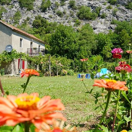 Camp Podkraj Hotel Virpazar Luaran gambar